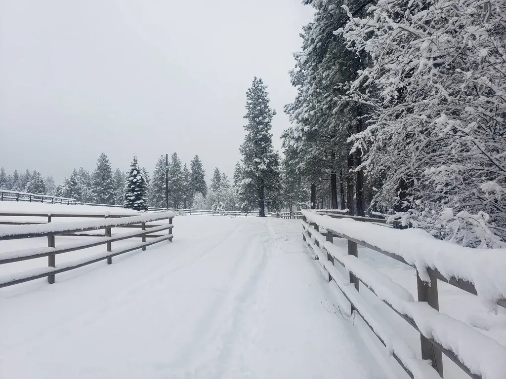 443 N Gold Creek Loop Hamilton MT 59840