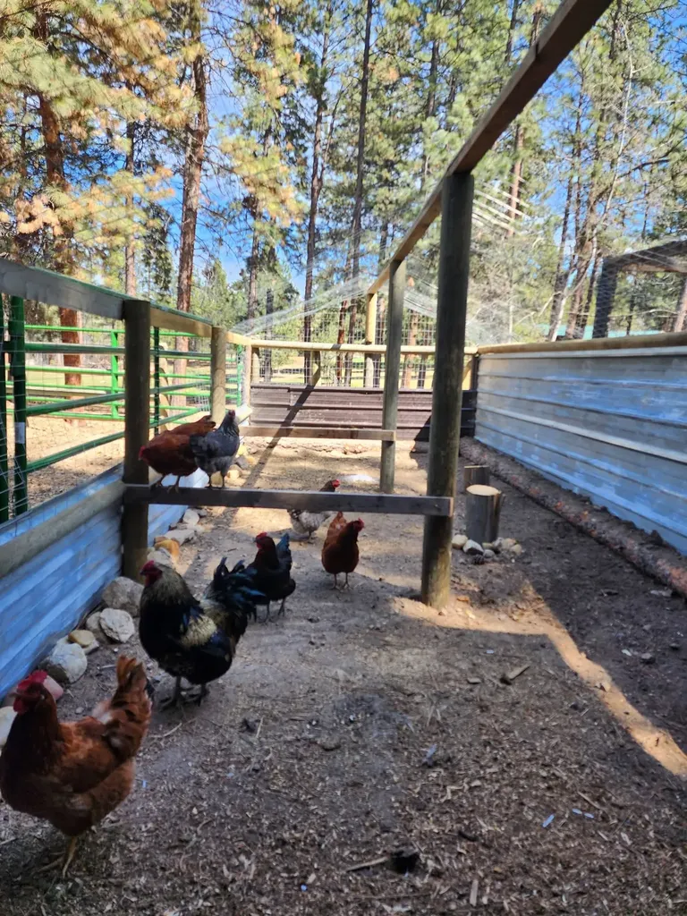 443 N Gold Creek Loop Hamilton MT 59840