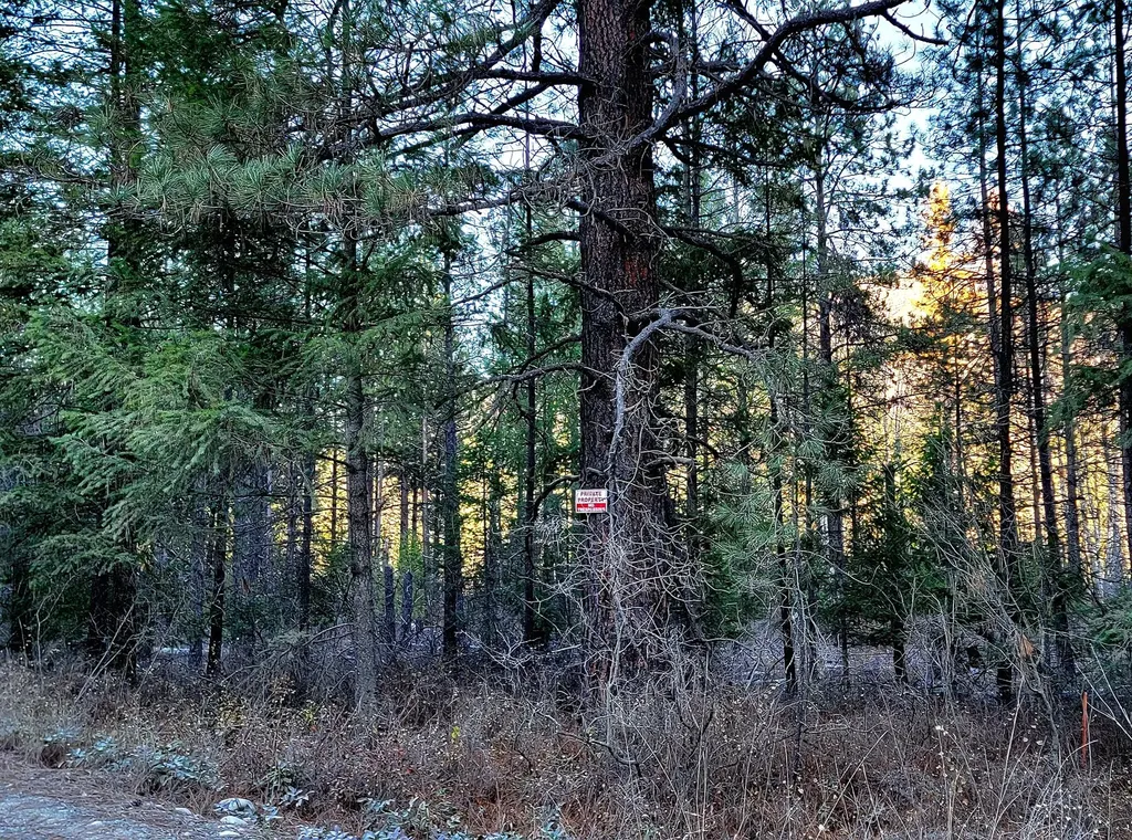 3022 Southside Road Troy MT 59935