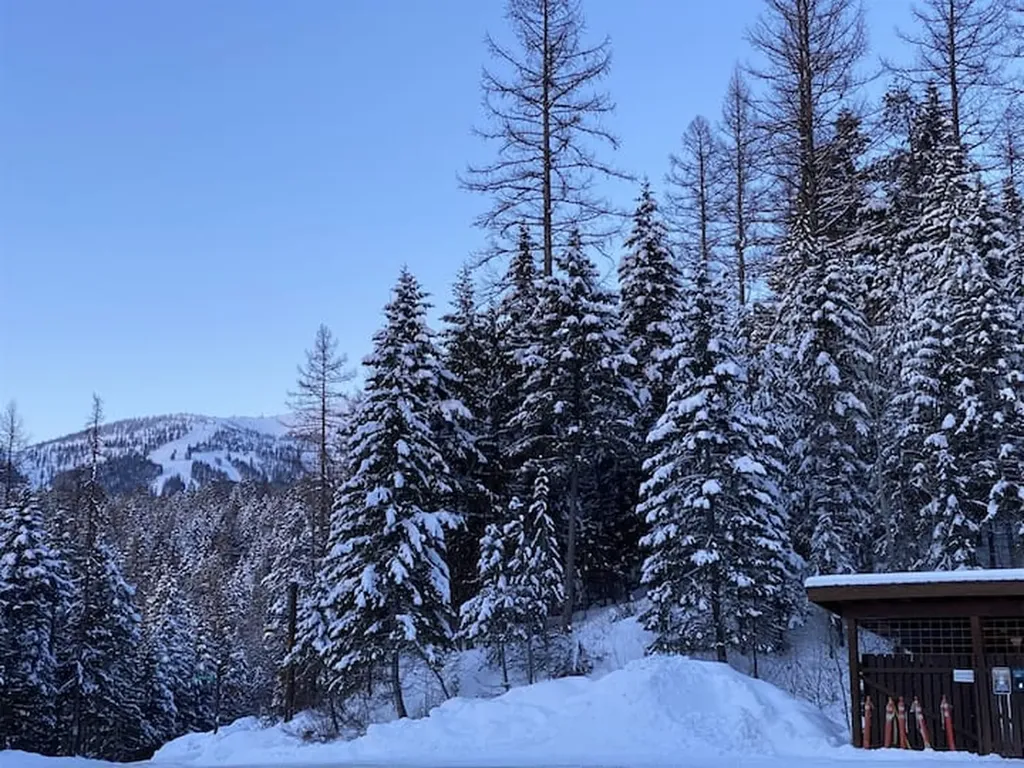 1 Tamarack Lane Whitefish MT 59937