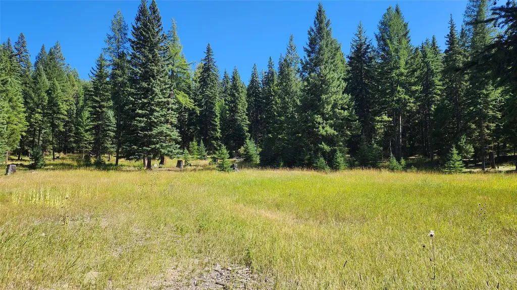 1720 Coon Hollow Road Kila MT 59920