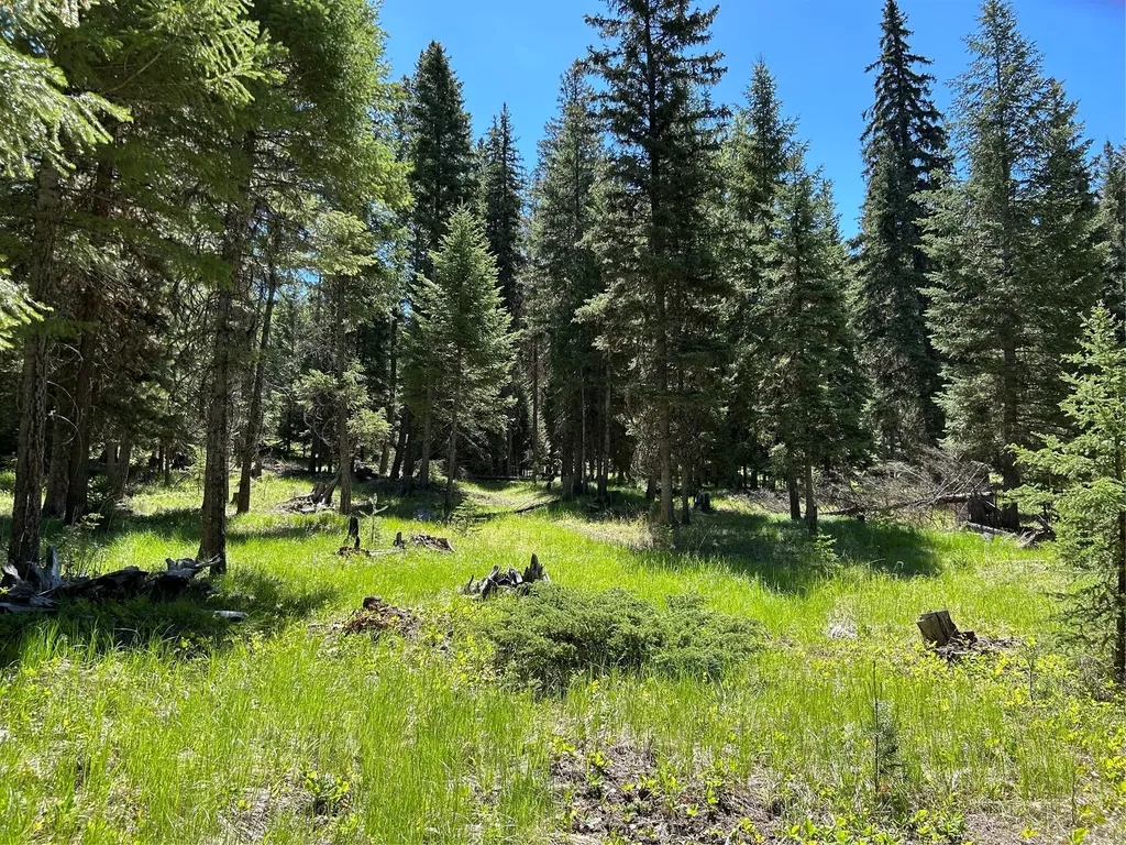 1720 Coon Hollow Road Kila MT 59920