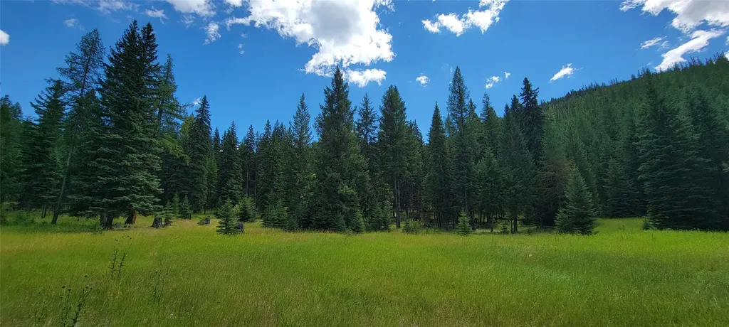 1720 Coon Hollow Road Kila MT 59920