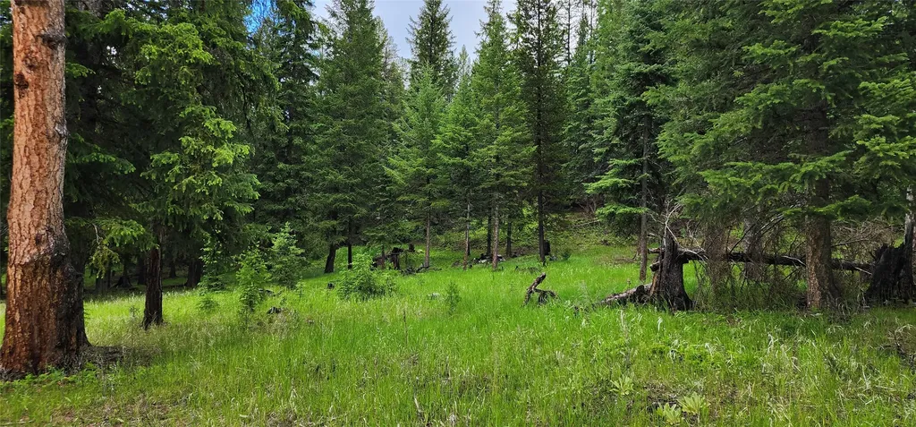 1720 Coon Hollow Road Kila MT 59920