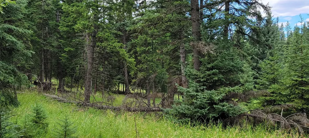 1720 Coon Hollow Road Kila MT 59920