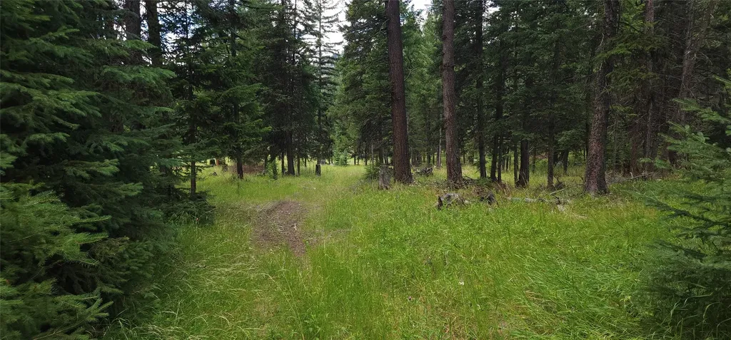 1720 Coon Hollow Road Kila MT 59920