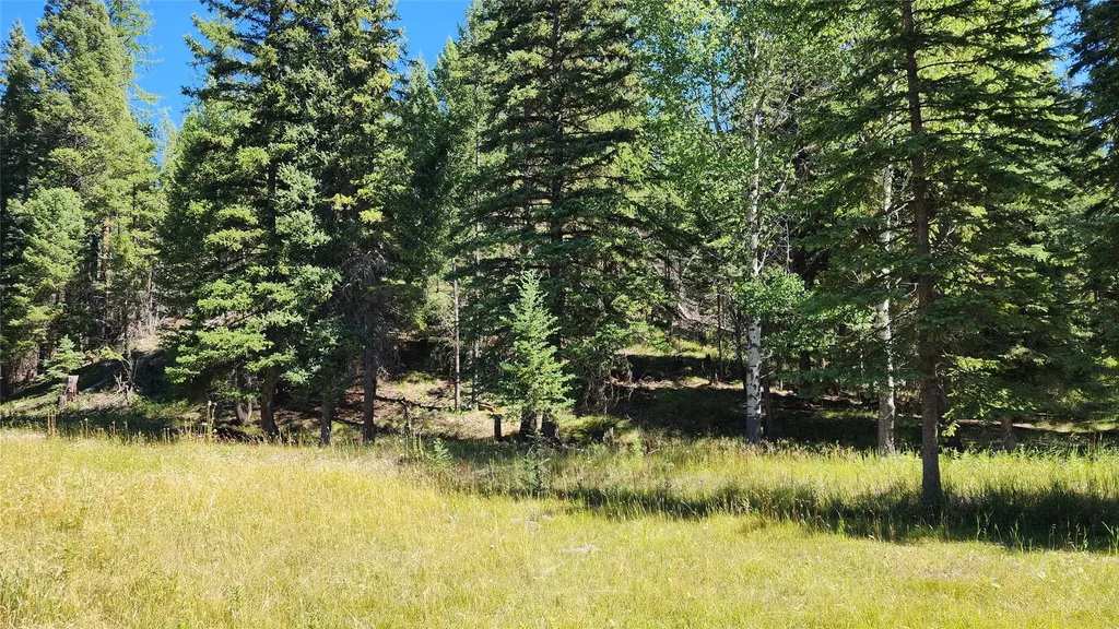 1720 Coon Hollow Road Kila MT 59920