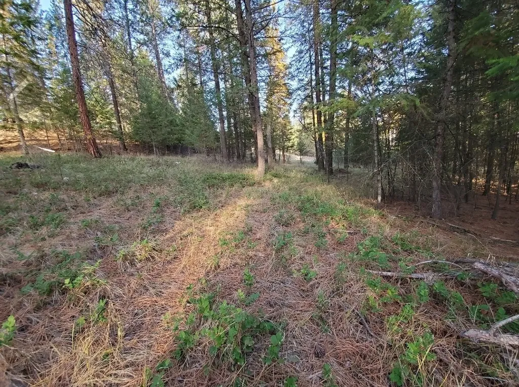 129 Airfield Road Libby MT 59923