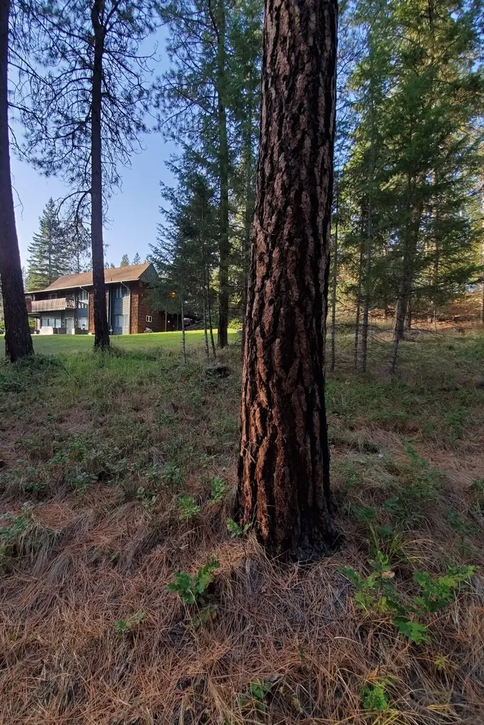 129 Airfield Road Libby MT 59923