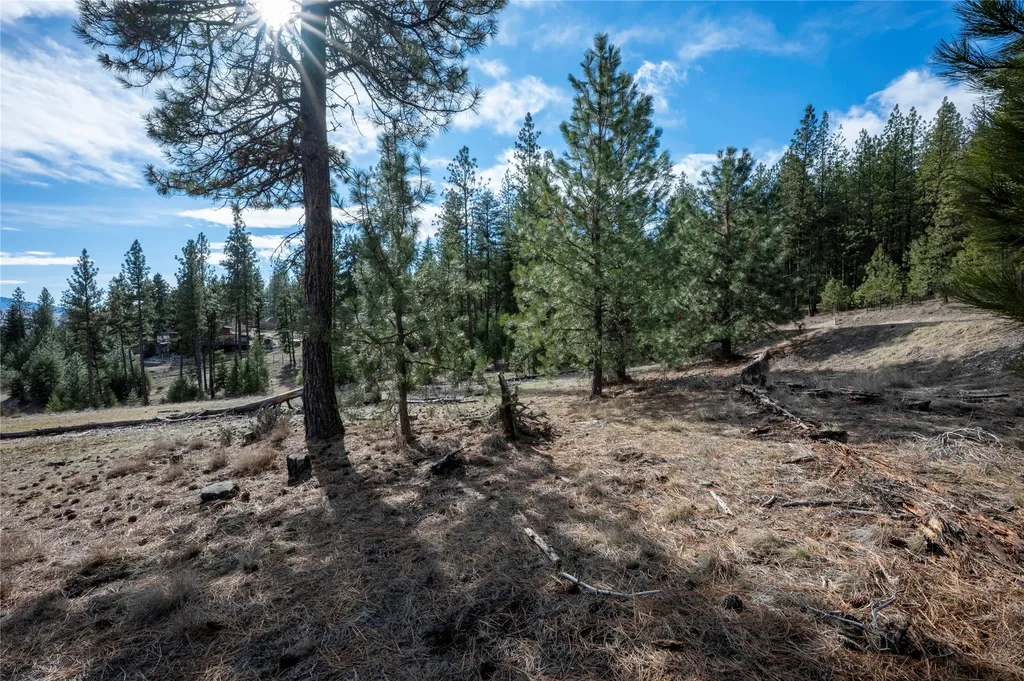 Nhn High Country Road Plains MT 59859