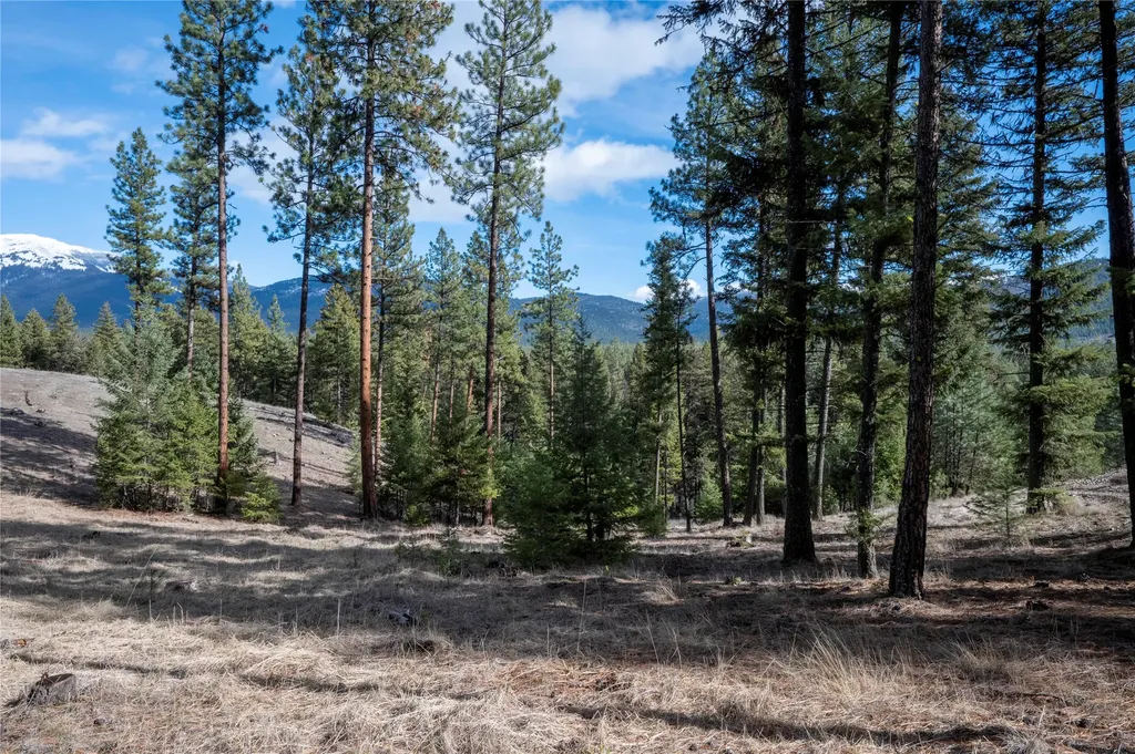 Nhn High Country Road Plains MT 59859