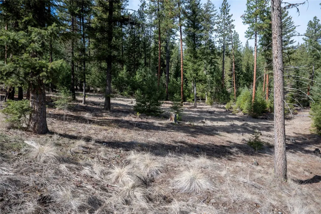 Nhn High Country Road Plains MT 59859
