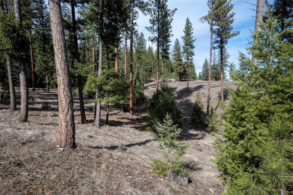 Nhn High Country Road Plains MT 59859