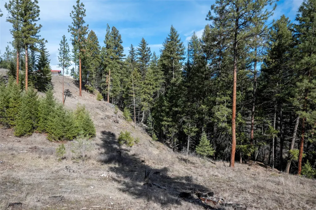 Nhn High Country Road Plains MT 59859