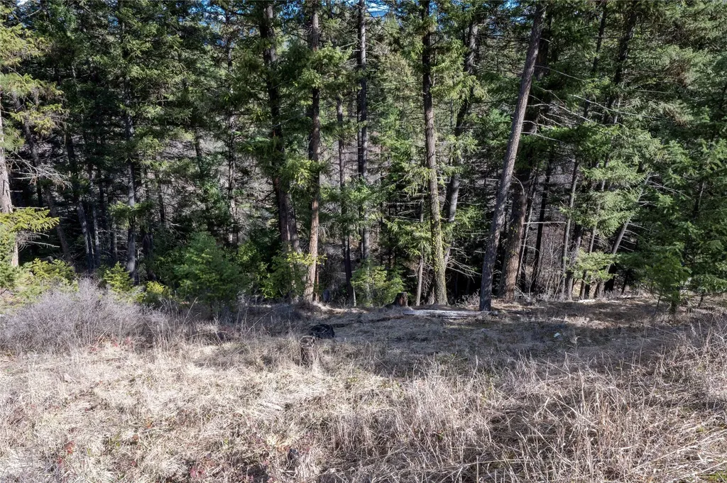 Nhn High Country Road Plains MT 59859