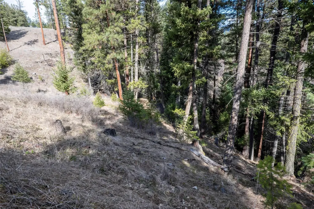Nhn High Country Road Plains MT 59859