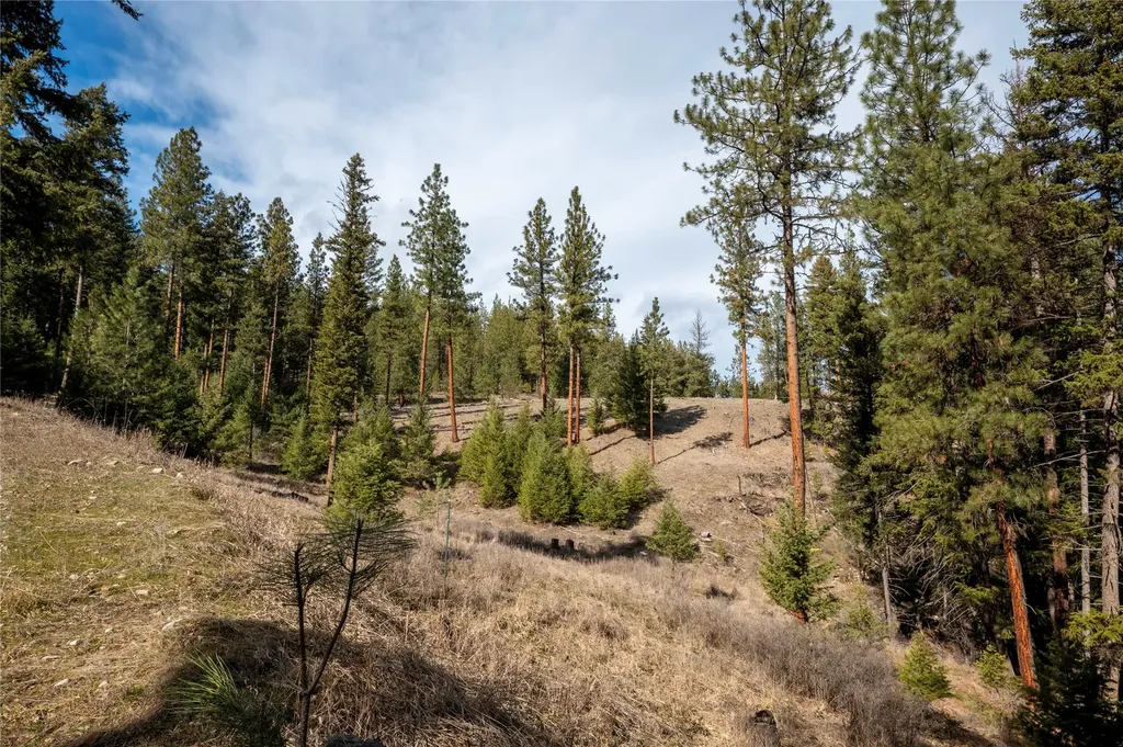Nhn High Country Road Plains MT 59859