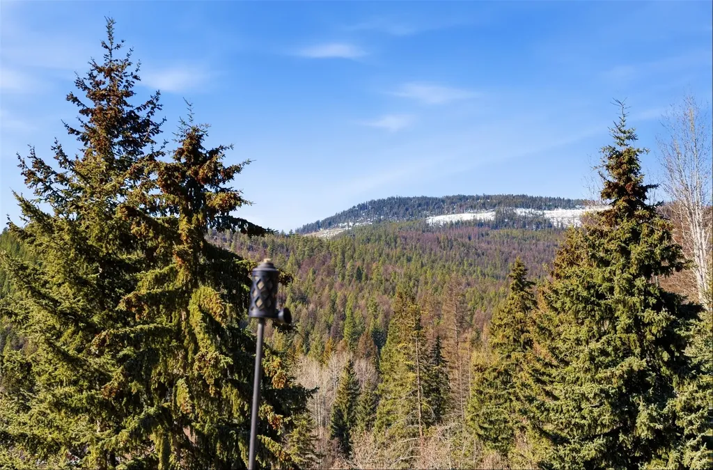 34 Two Creek Lane Kila MT 59920