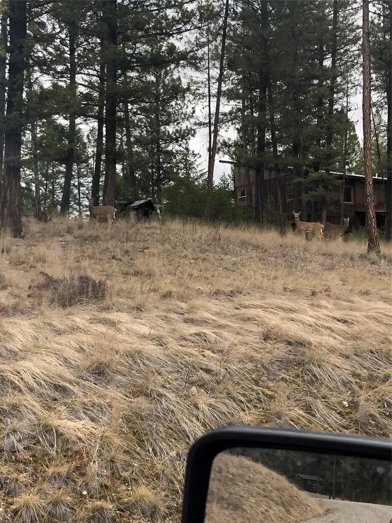 4144 Indian Creek Road Eureka MT 59917