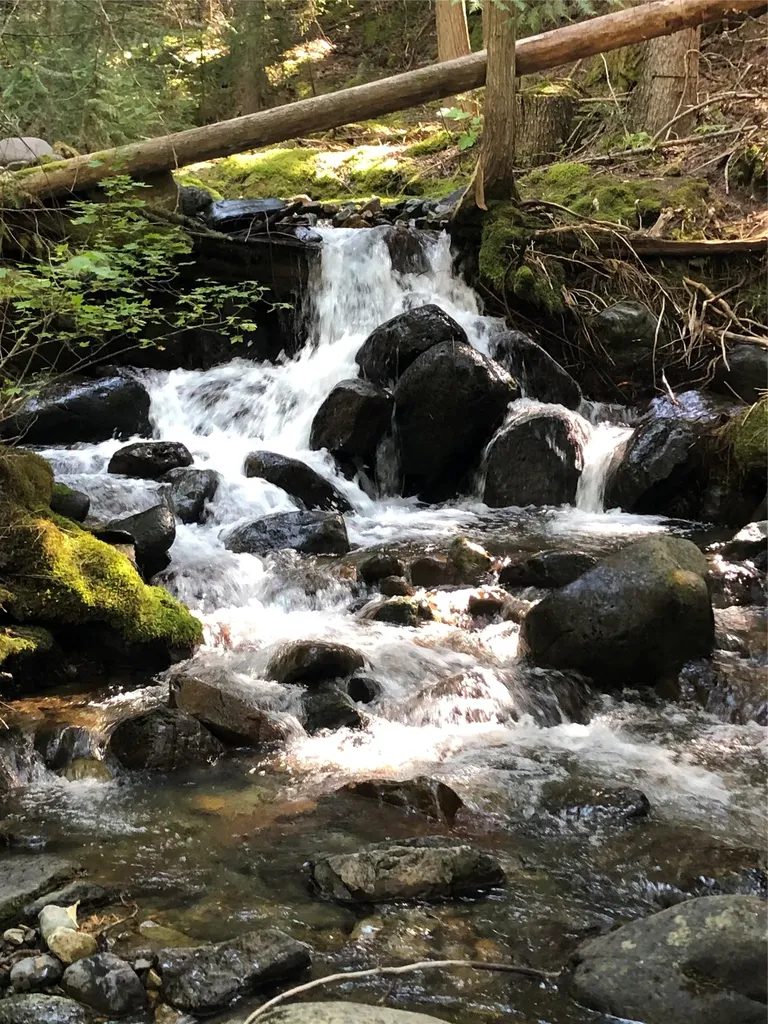 4144 Indian Creek Road Eureka MT 59917