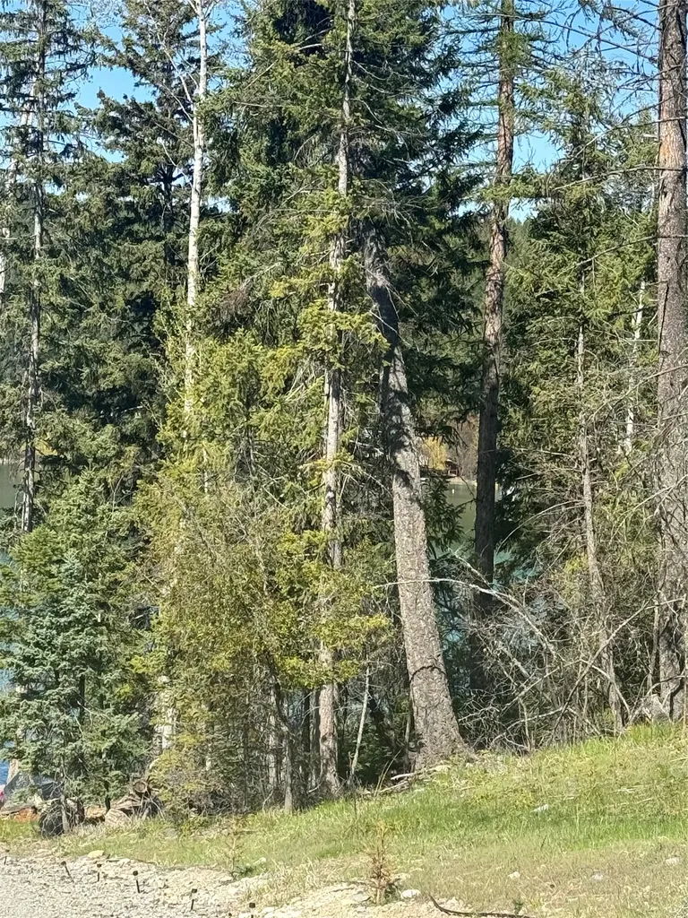 4144 Indian Creek Road Eureka MT 59917