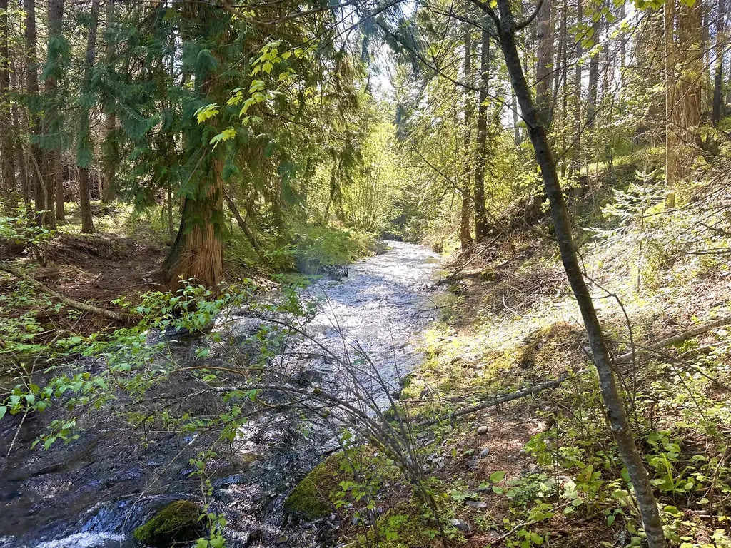 71 Osprey Drive E Thompson Falls MT 59873