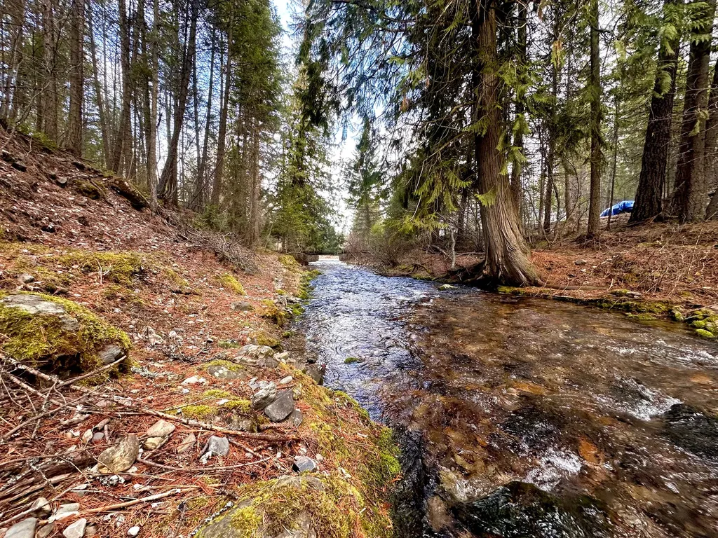 71 Osprey Drive E Thompson Falls MT 59873
