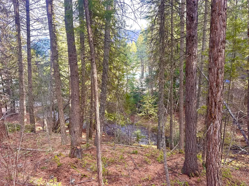 71 Osprey Drive E Thompson Falls MT 59873