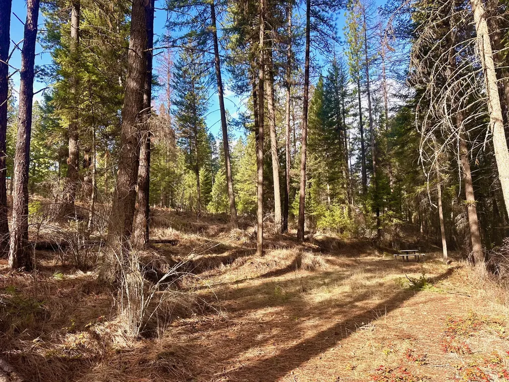 71 Osprey Drive E Thompson Falls MT 59873