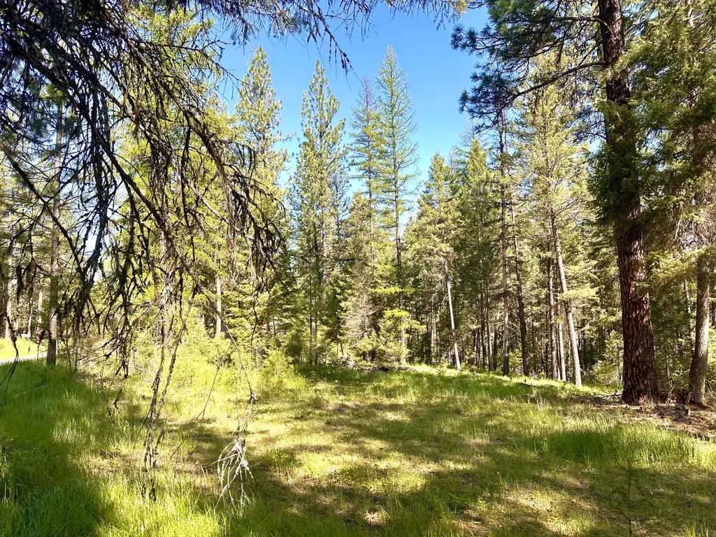 71 Osprey Drive E Thompson Falls MT 59873