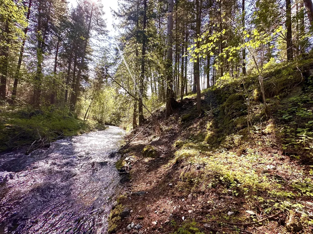 71 Osprey Drive E Thompson Falls MT 59873