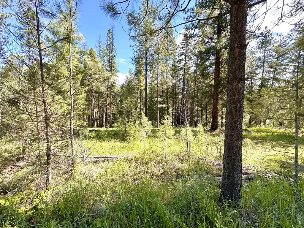 71 Osprey Drive E Thompson Falls MT 59873