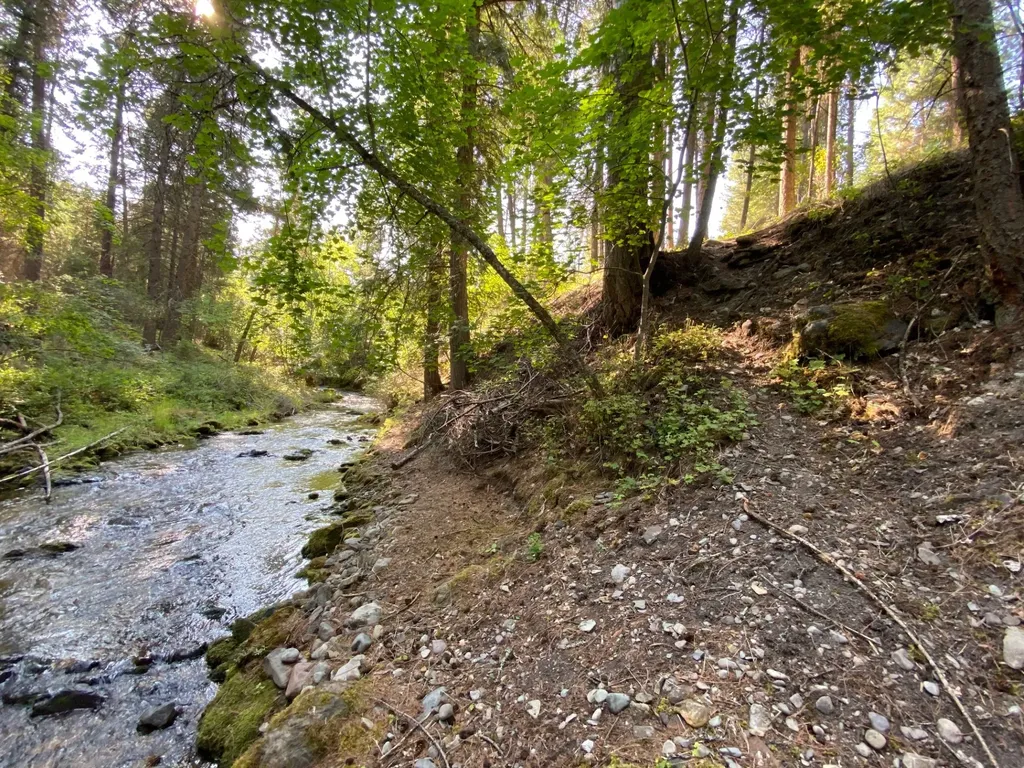71 Osprey Drive E Thompson Falls MT 59873