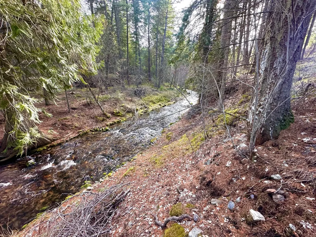 71 Osprey Drive E Thompson Falls MT 59873