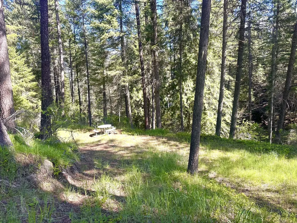 71 Osprey Drive E Thompson Falls MT 59873