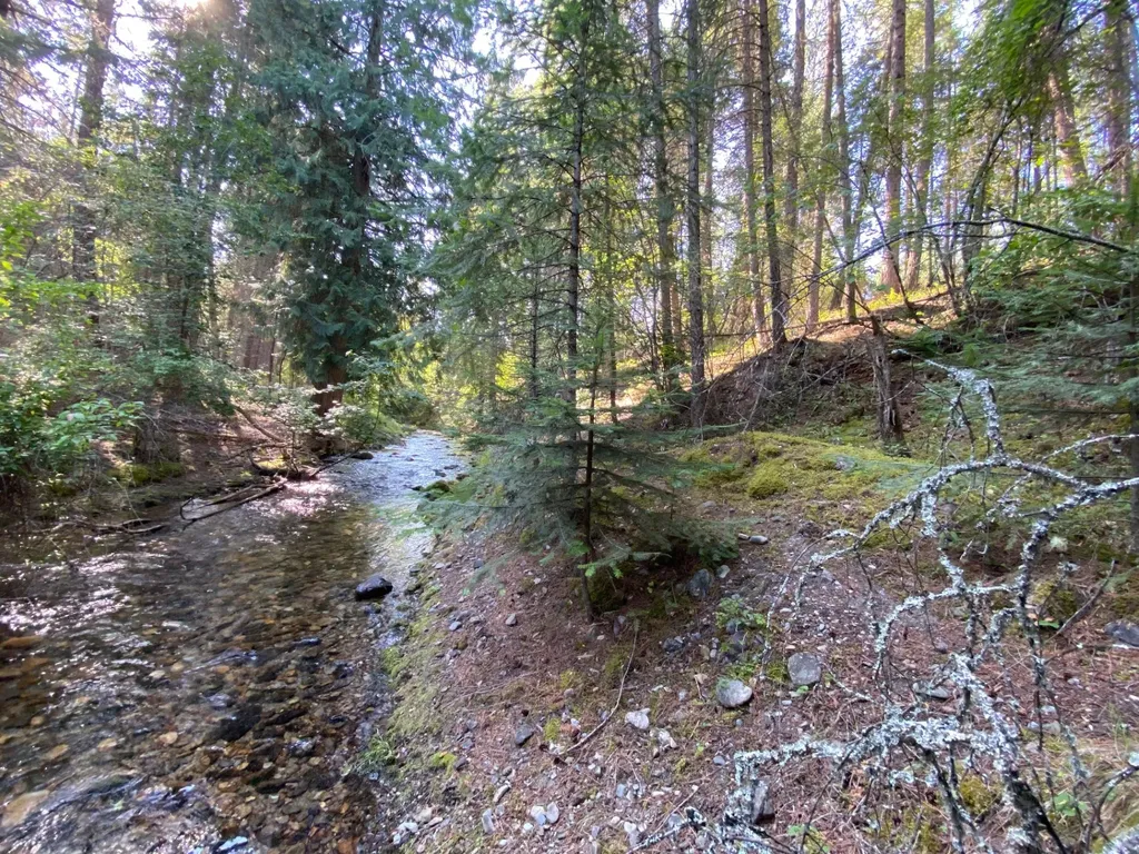 71 Osprey Drive E Thompson Falls MT 59873