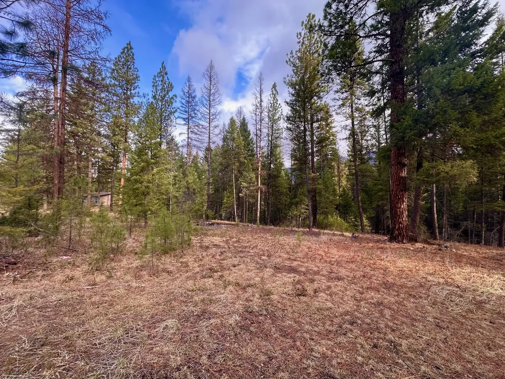 71 Osprey Drive E Thompson Falls MT 59873