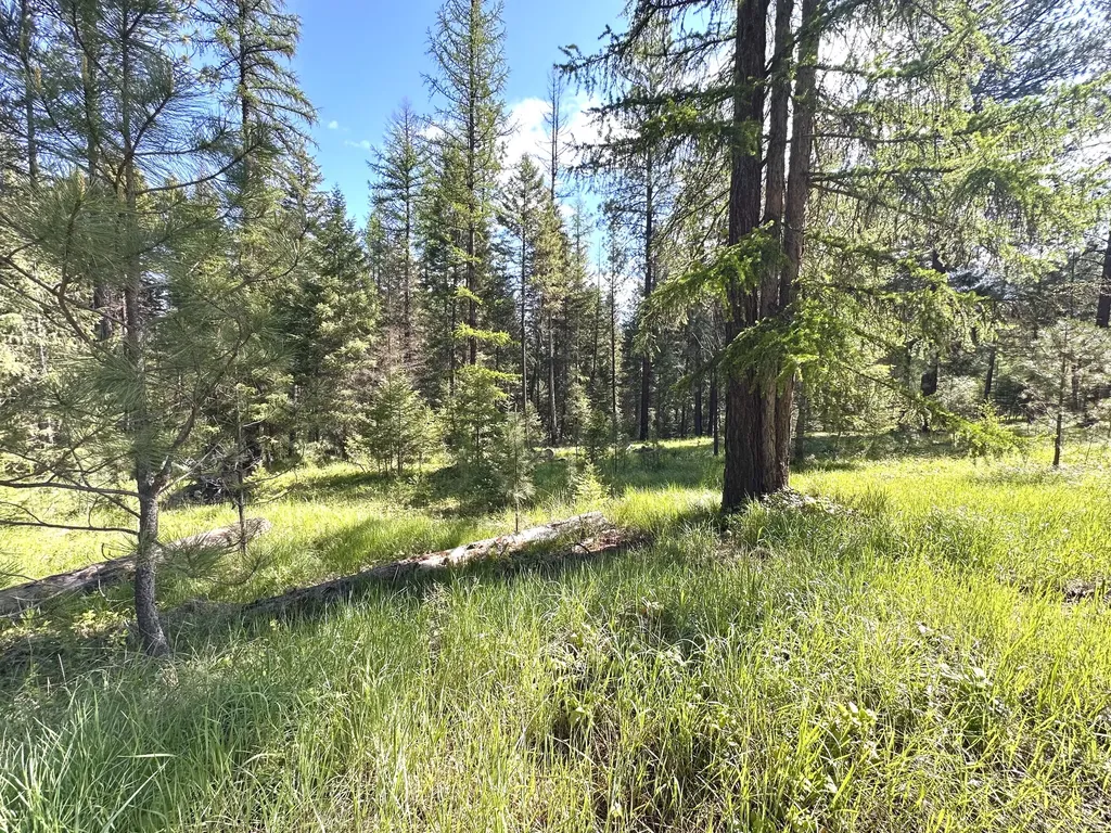 71 Osprey Drive E Thompson Falls MT 59873