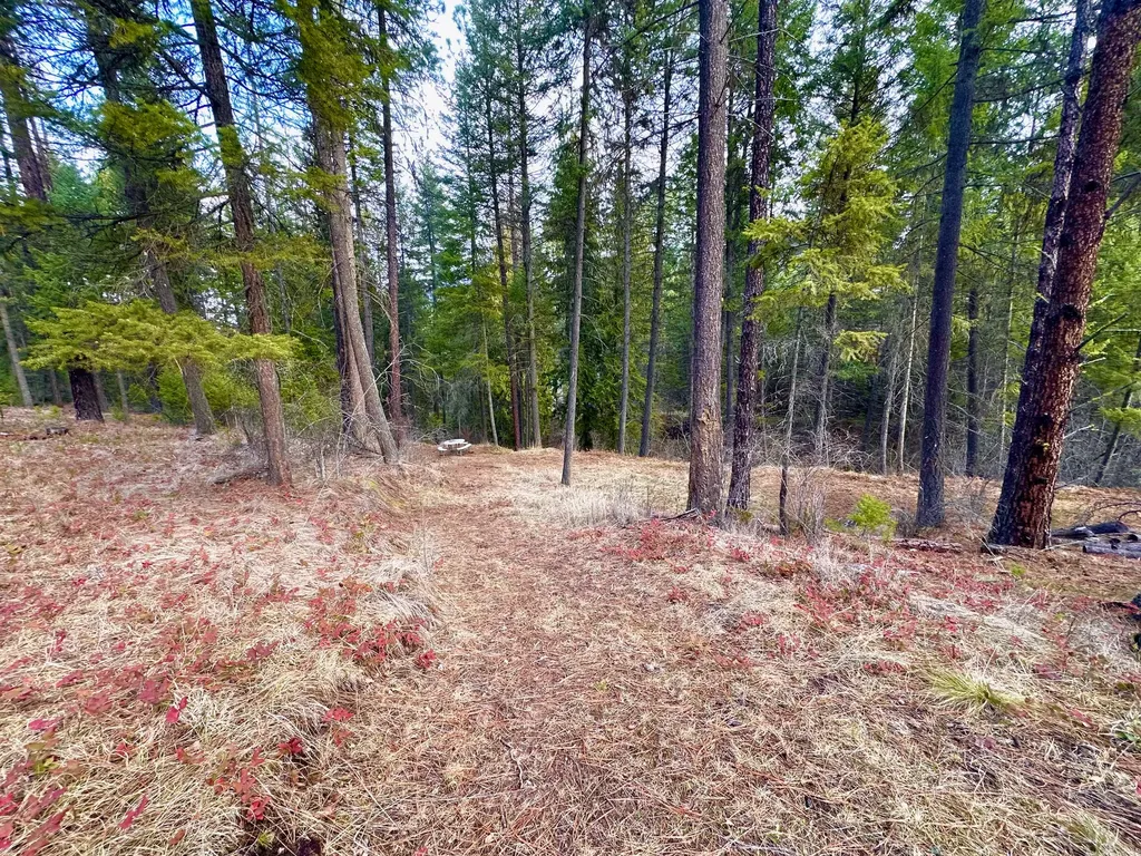 71 Osprey Drive E Thompson Falls MT 59873