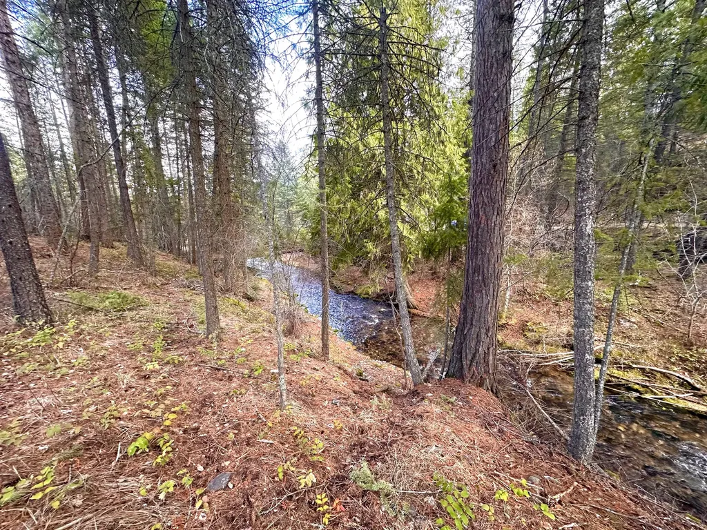 71 Osprey Drive E Thompson Falls MT 59873