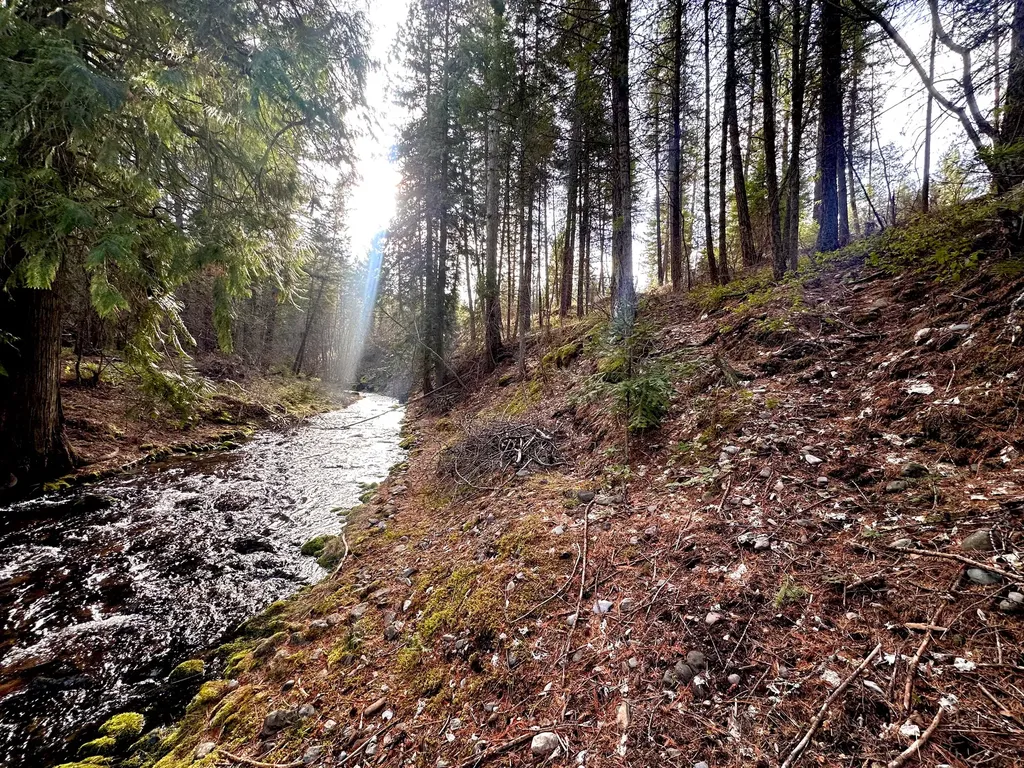 71 Osprey Drive E Thompson Falls MT 59873