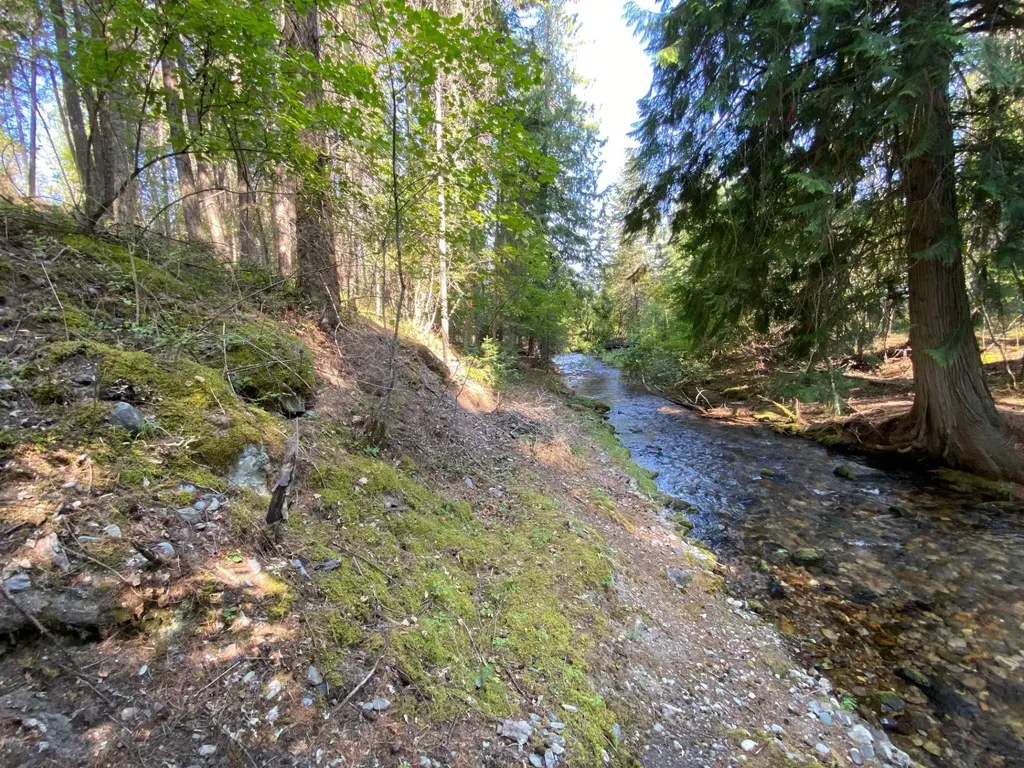 71 Osprey Drive E Thompson Falls MT 59873