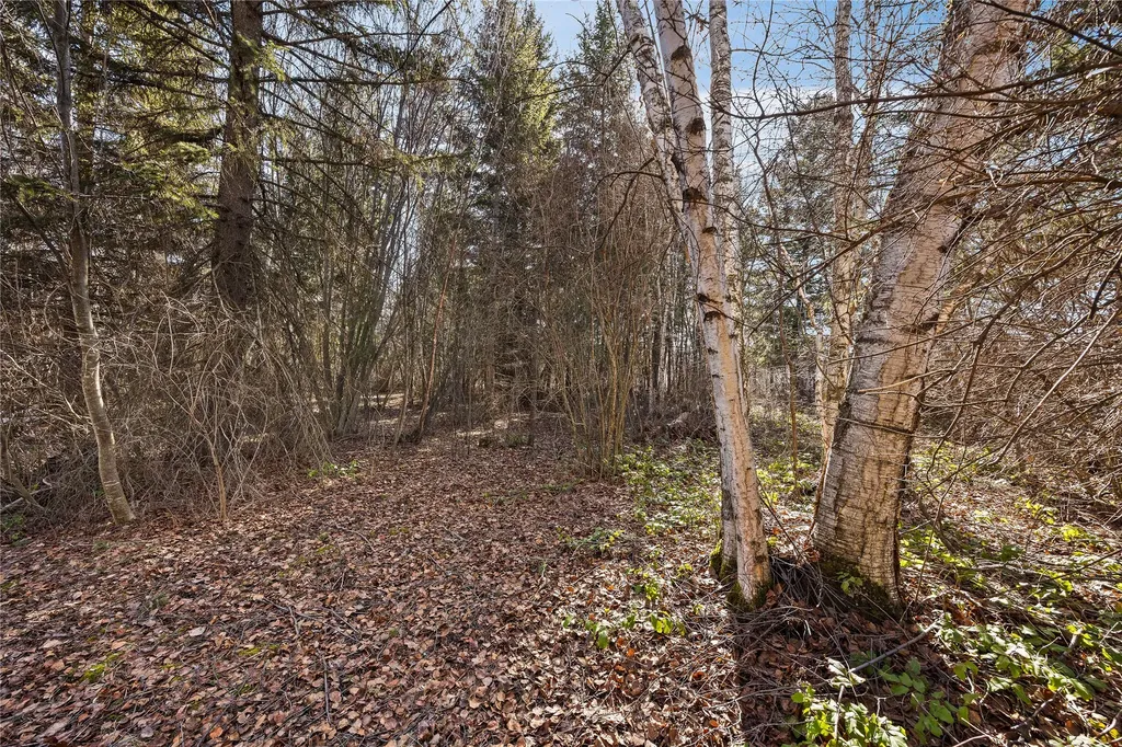 1009 3rd Avenue E Columbia Falls MT 59912