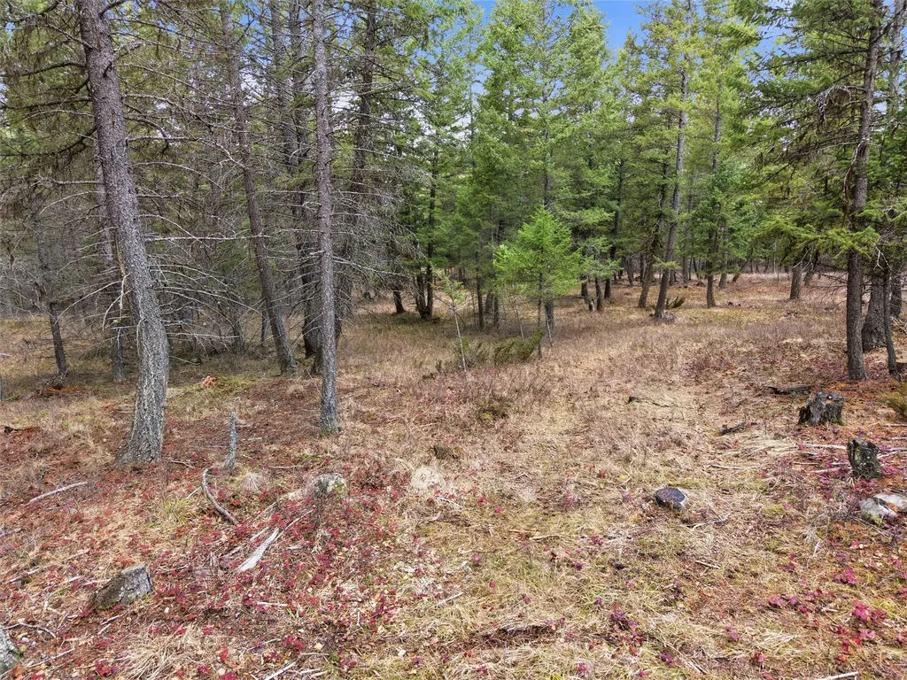 2250 Whitefish Ranch Road Whitefish MT 59937