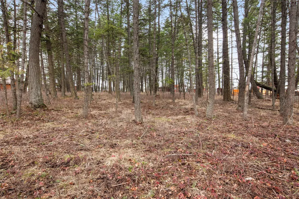444 Bear Trail Whitefish MT 59937