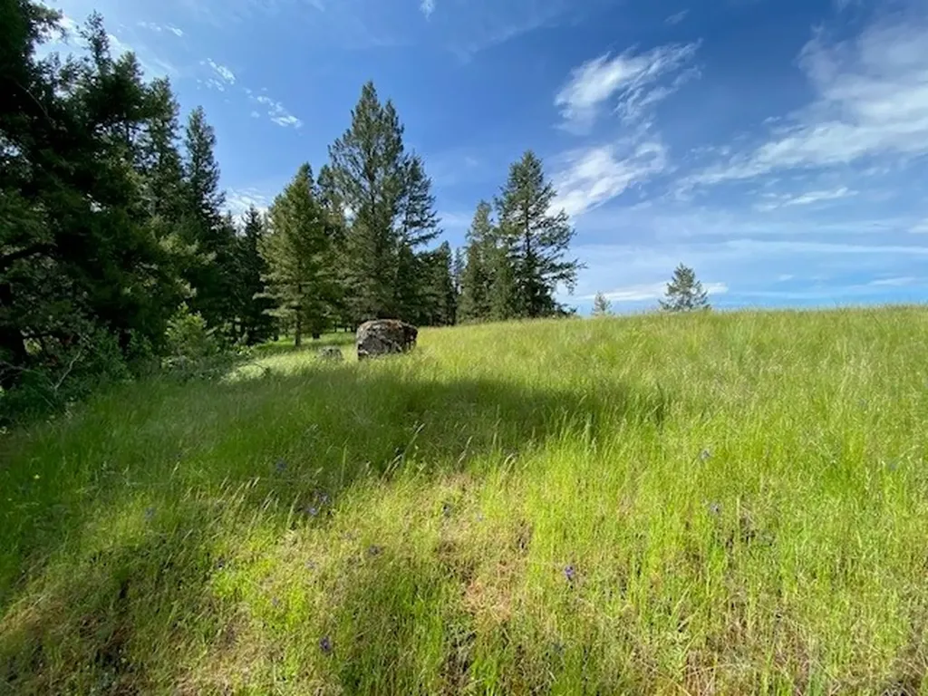 116 Prairie Lane Kalispell MT 59901