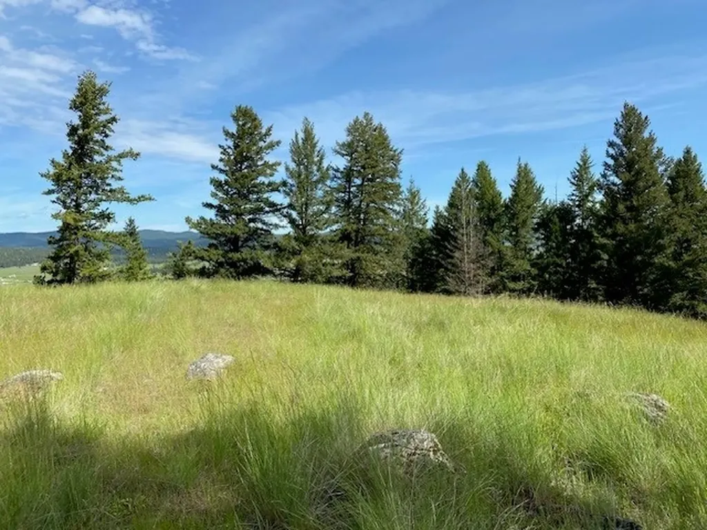 116 Prairie Lane Kalispell MT 59901