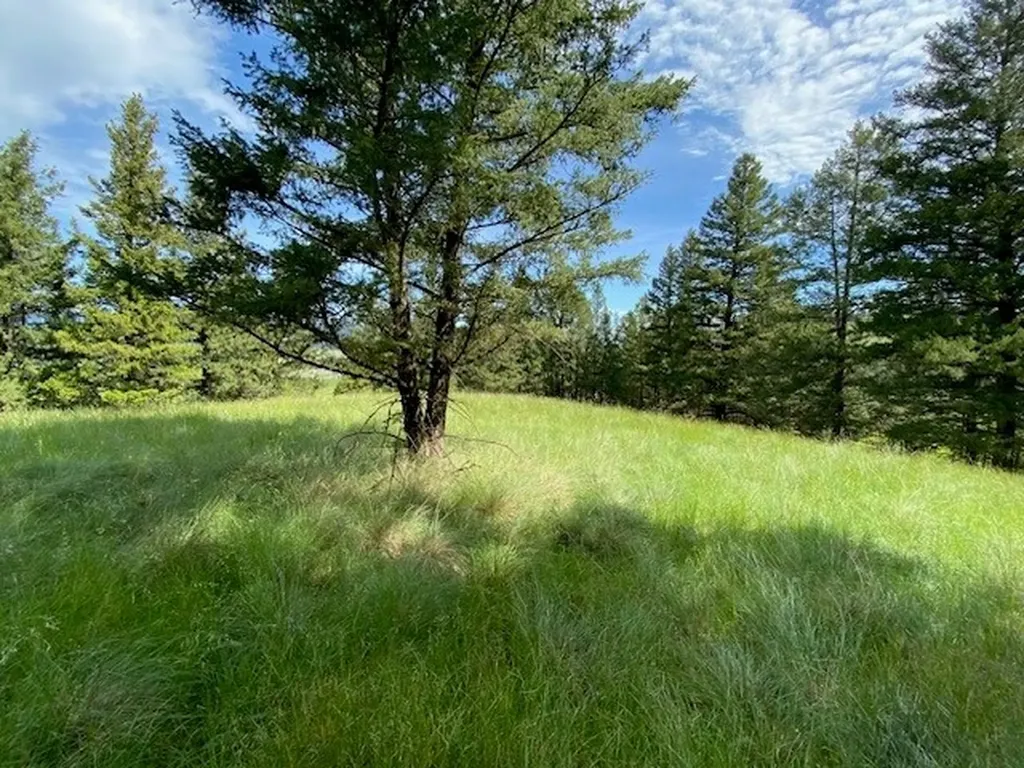 116 Prairie Lane Kalispell MT 59901