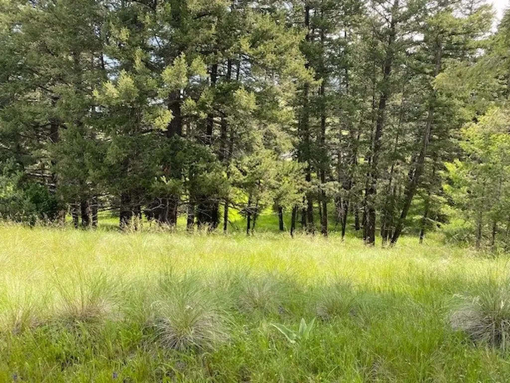 116 Prairie Lane Kalispell MT 59901