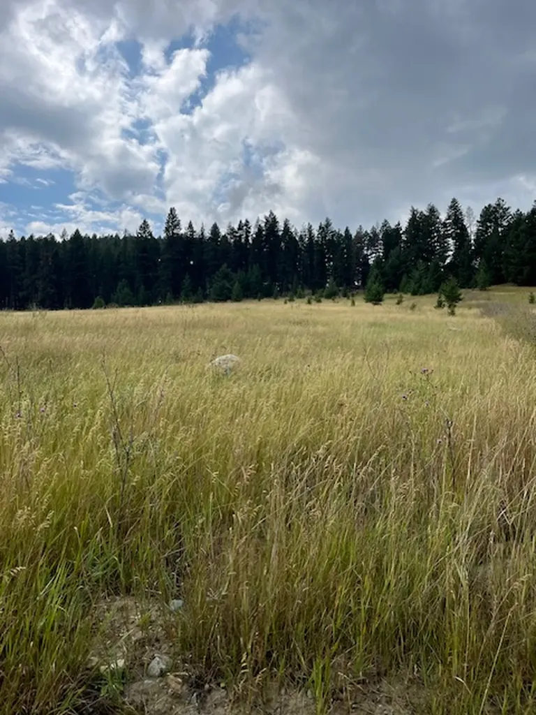 116 Prairie Lane Kalispell MT 59901